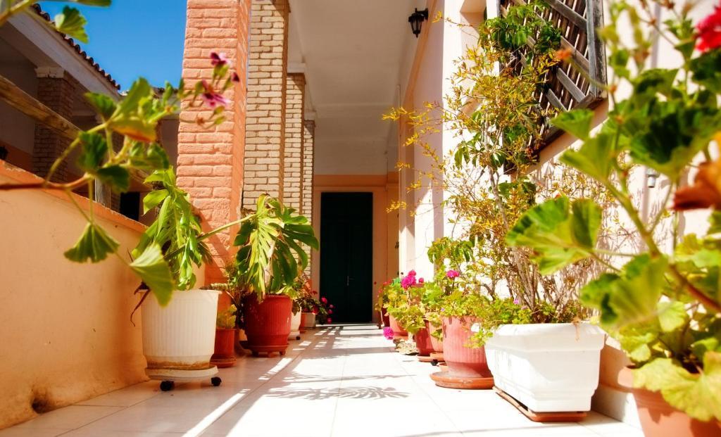 Avra Hotel Tínos エクステリア 写真